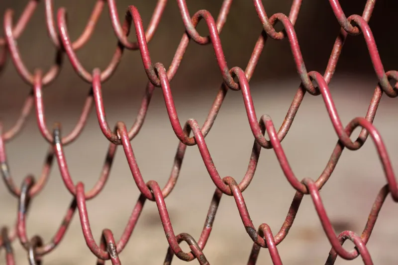 Dead Links Walking: The Internet's Quiet Crisis of Vanishing Pages